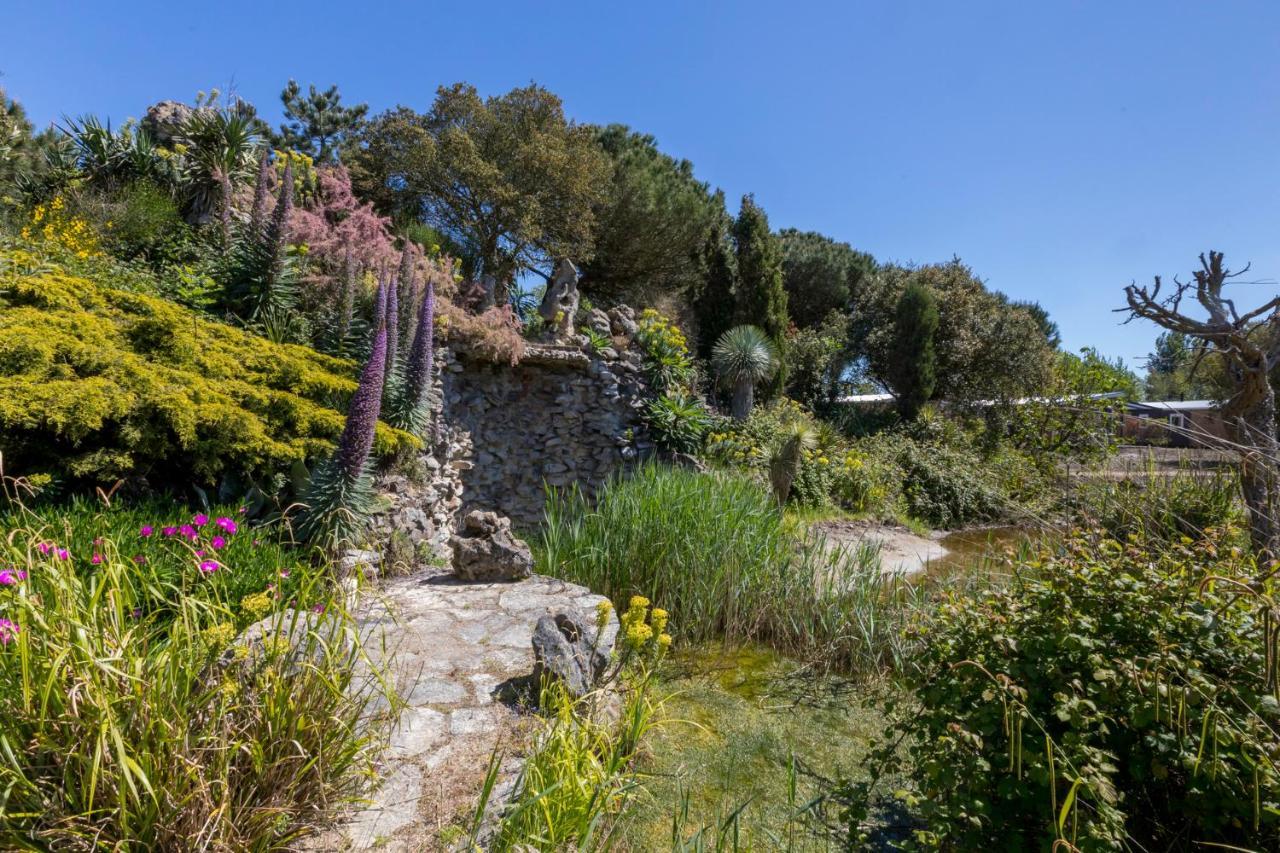 Welcome In - Chalet Vakantiepark Fort Den Haak - Huisdier Toegestaan Vrouwenpolder Exterior foto